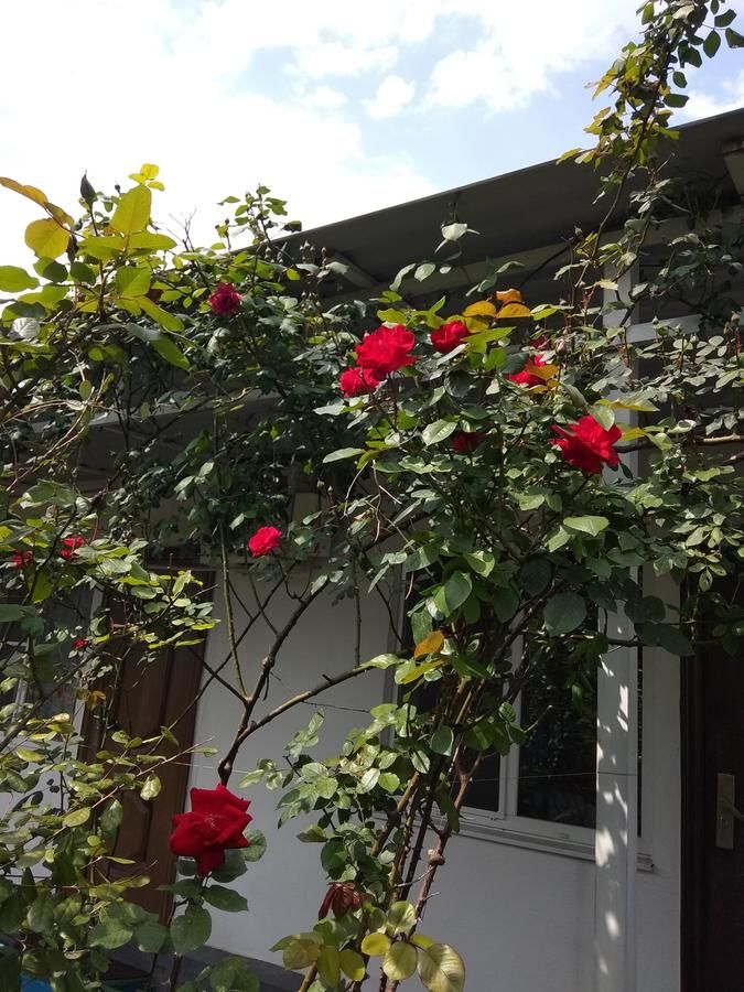 Гостевой дом RAiSA Гагра-22