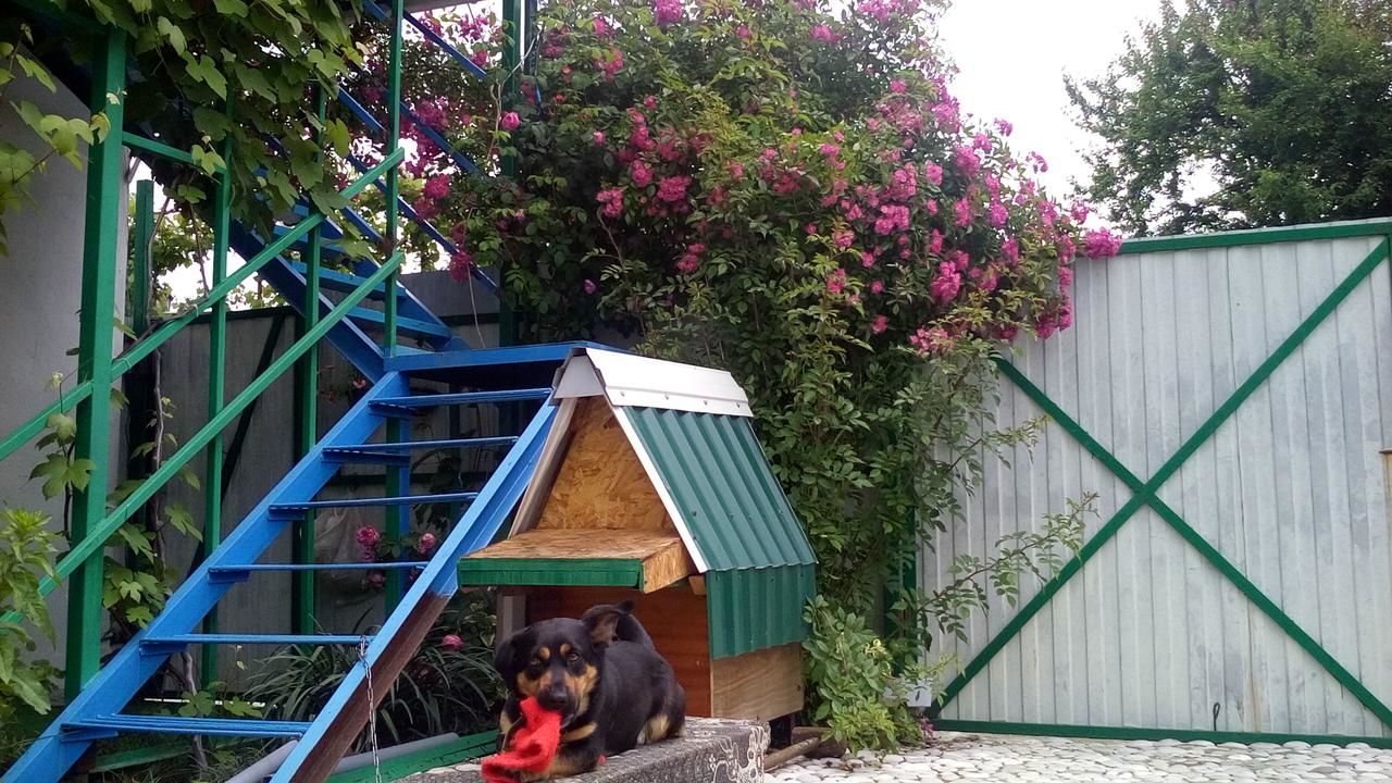 Гостевой дом RAiSA Гагра-48