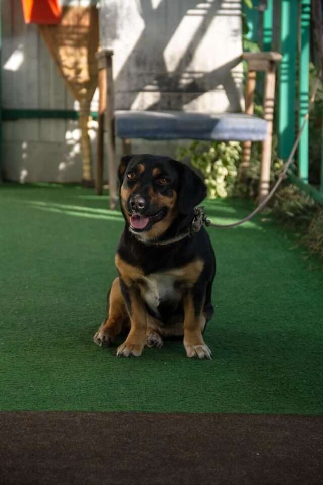 Гостевой дом RAiSA Гагра-5