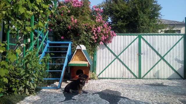 Гостевой дом RAiSA Гагра-41