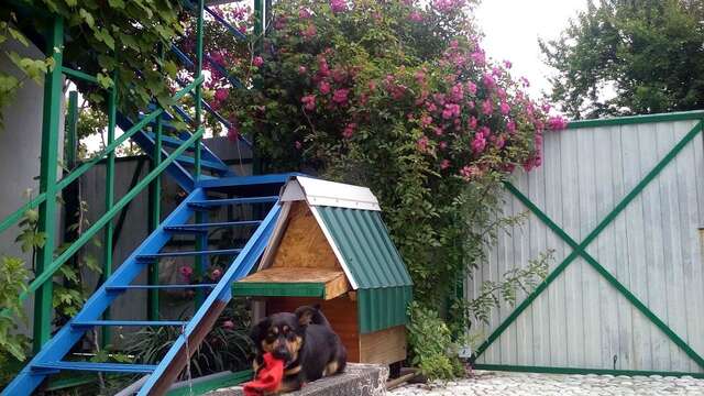 Гостевой дом RAiSA Гагра-47